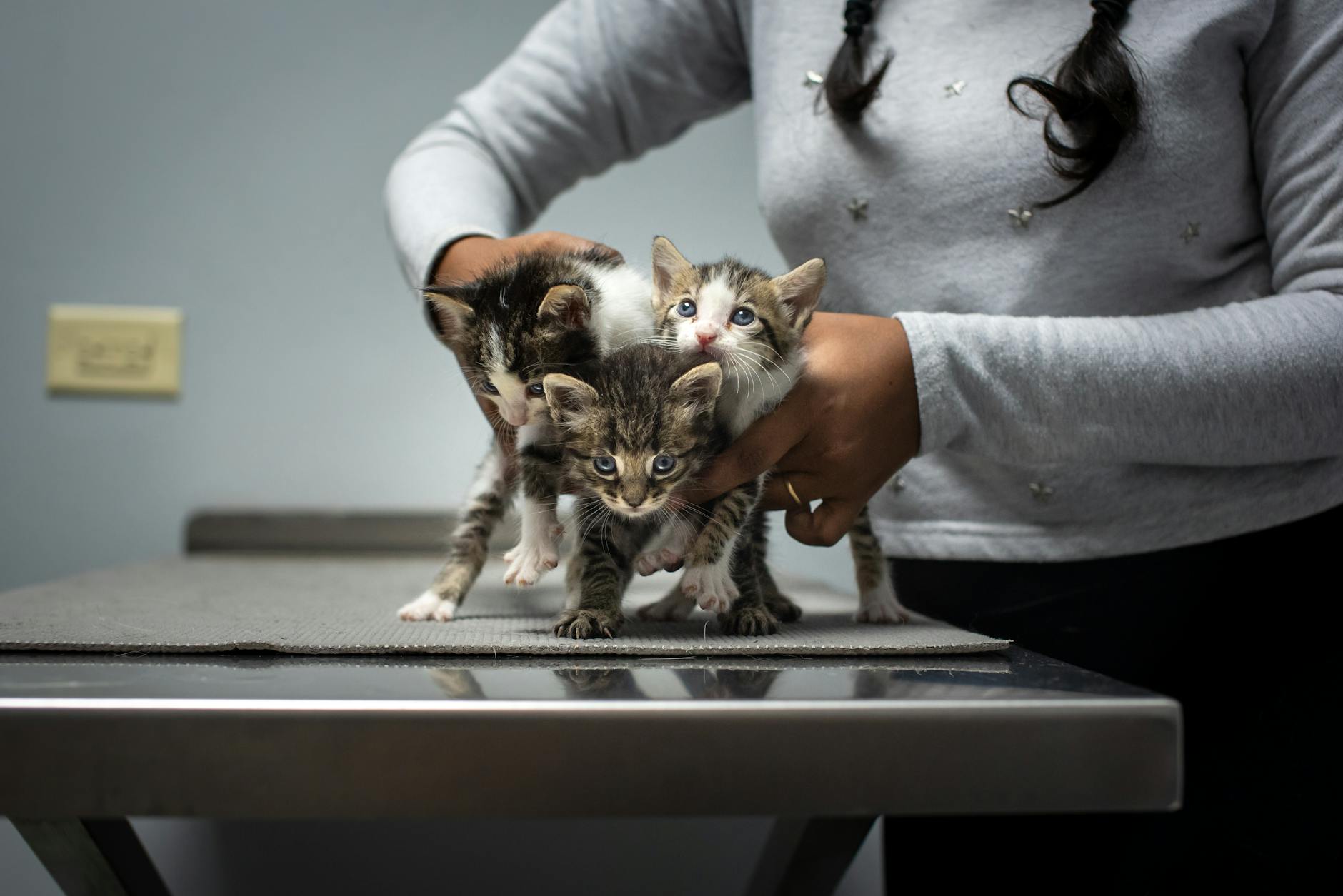 How ClinicDesq Simplifies IPD Charge Capture for Vet Clinics