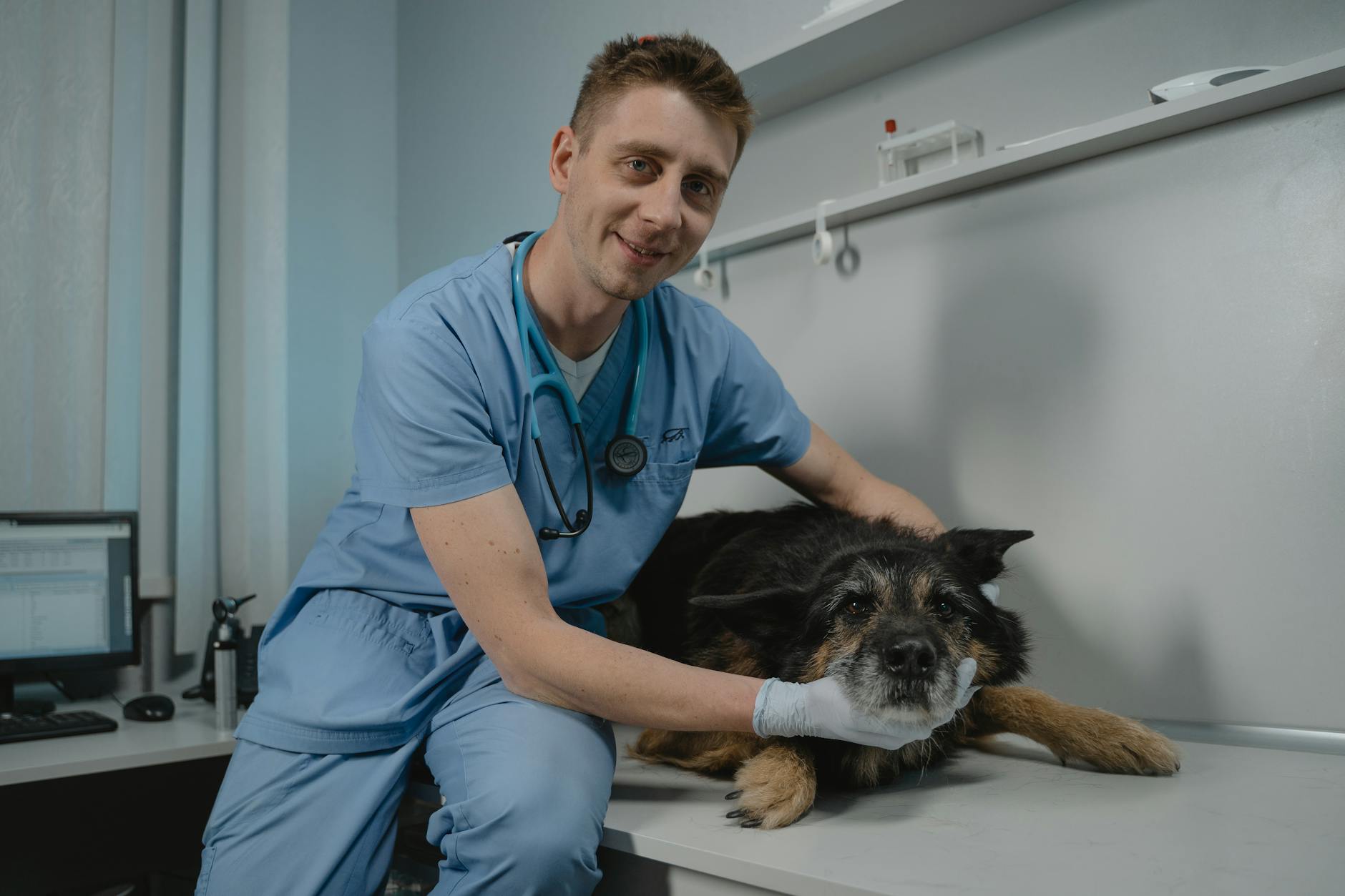 Starting a Vet Clinic in 2026: Your Essential Software Checklist