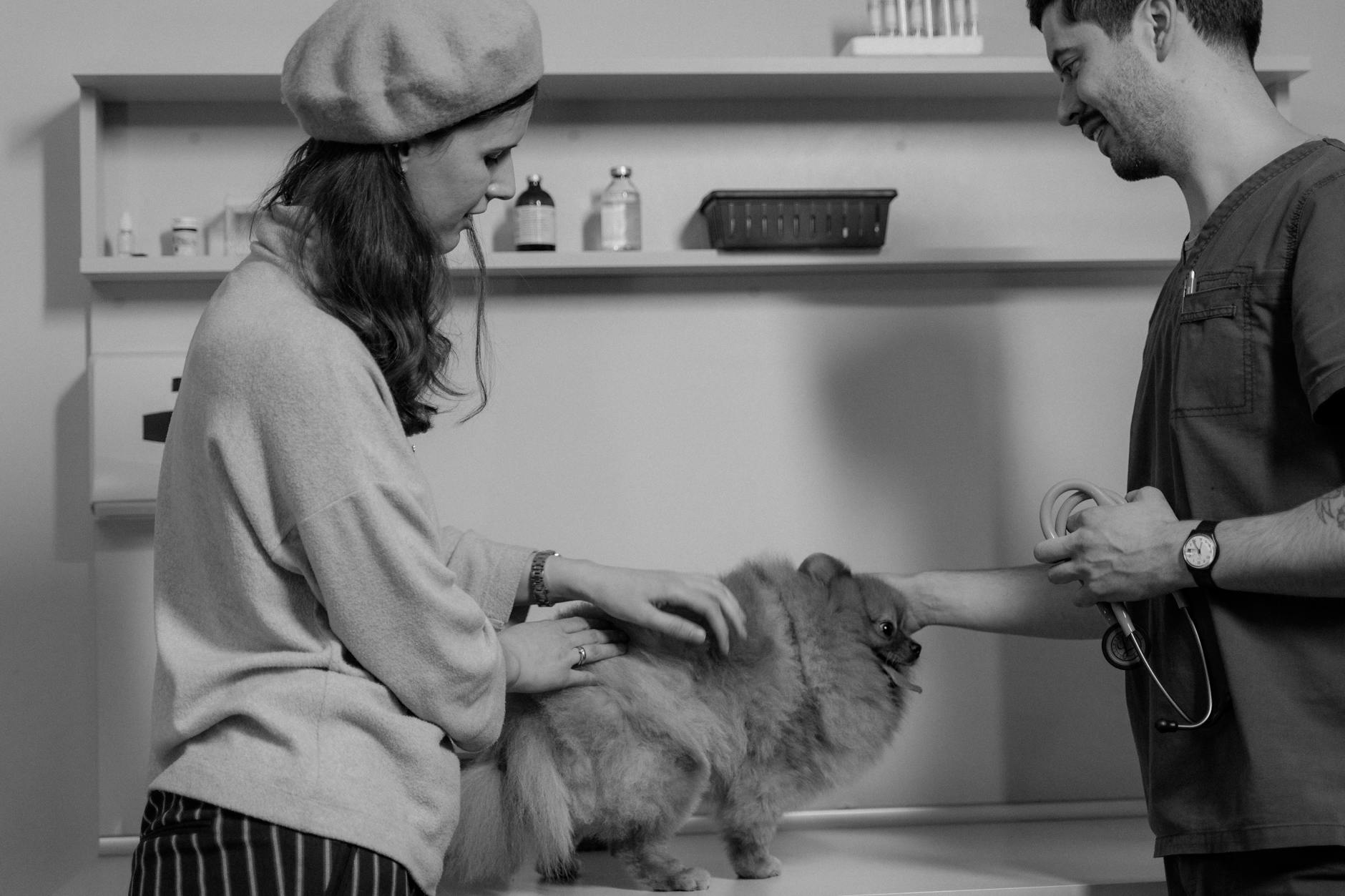 Reducing No-Shows at Your Vet Clinic: Real Causes and Solutions