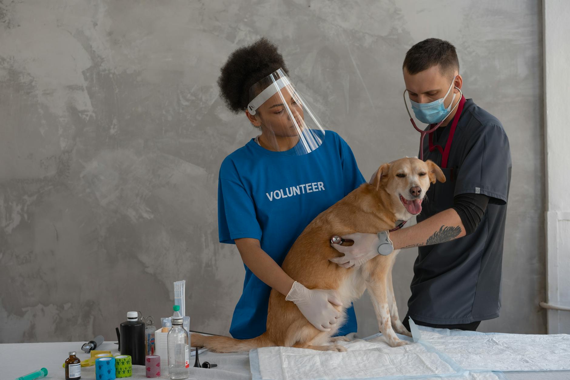 Clinical Supervision for Head Vets in Multi-Clinic Groups