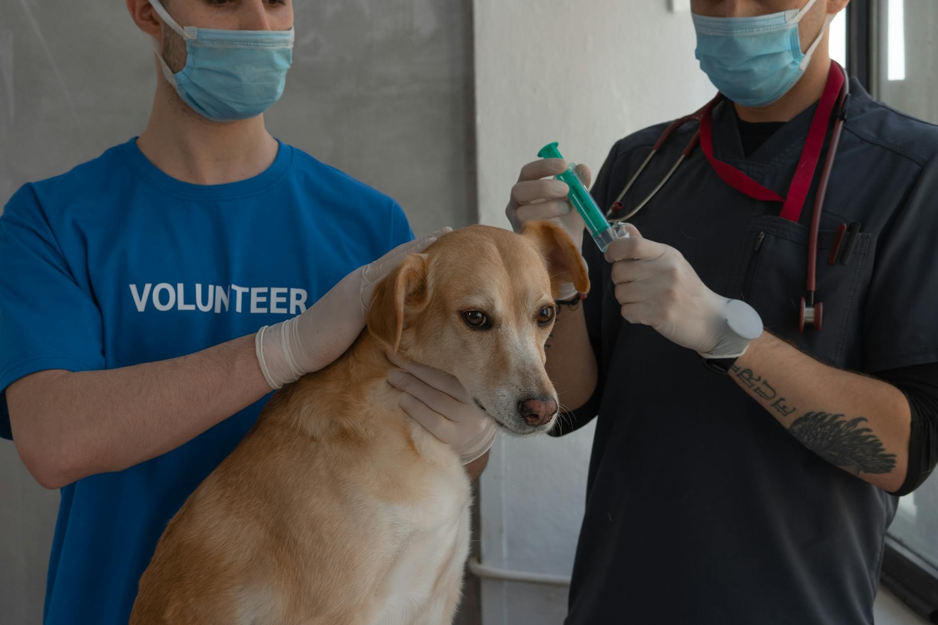 Role-Based Access: Scaling Permission Models in Vet Clinics