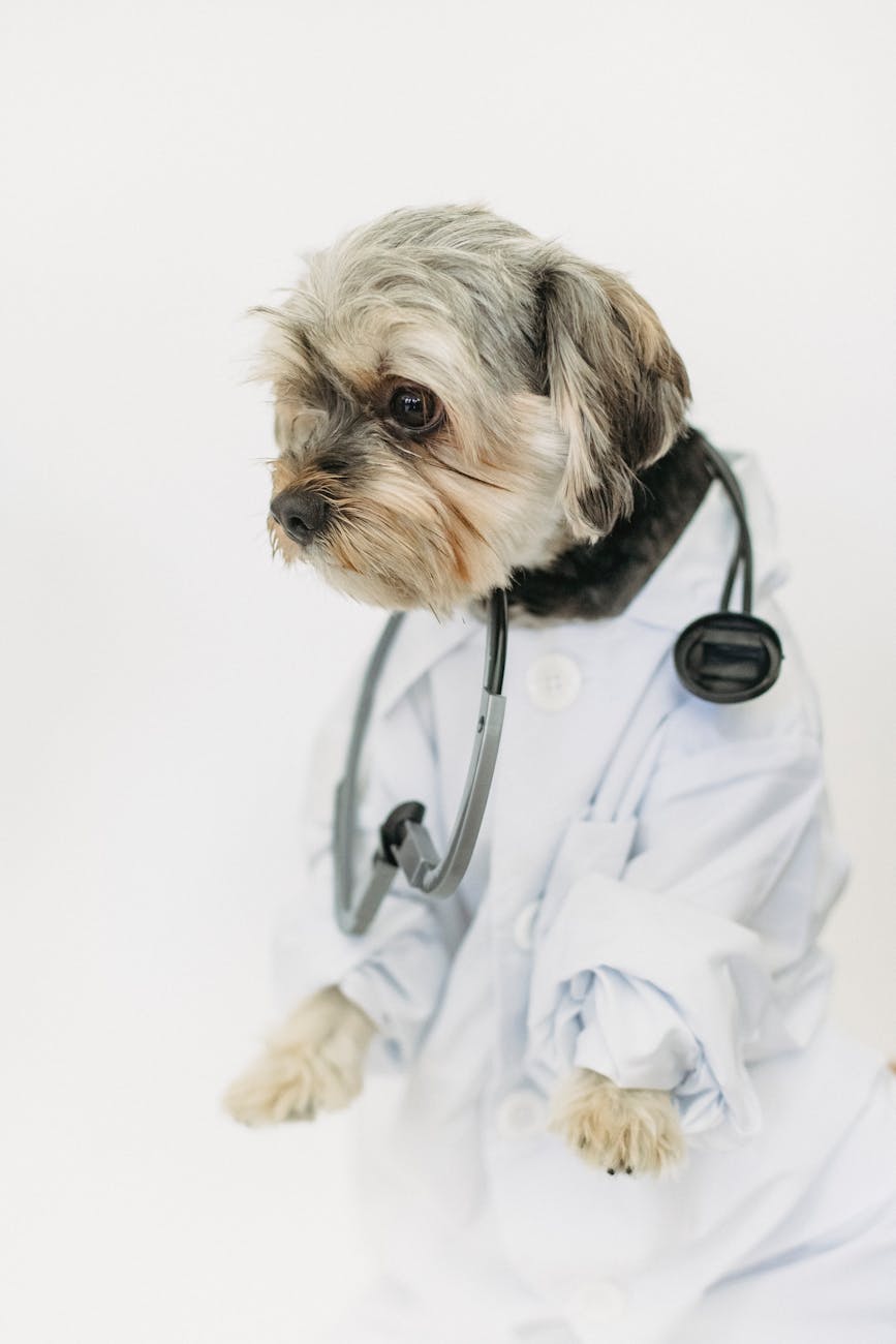 Choosing Vet Clinic Software: 15 Essential Questions
