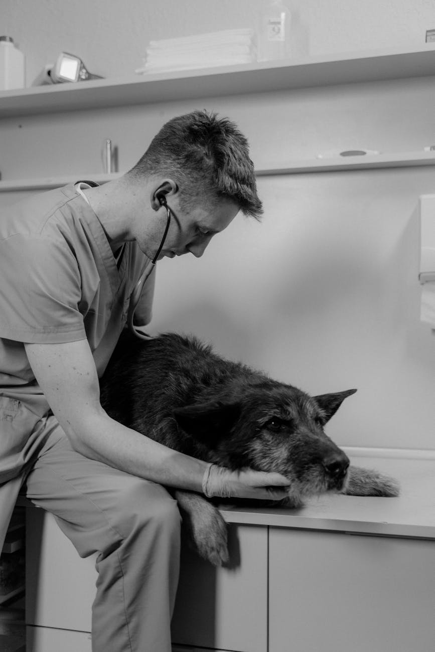 Inside ClinicDesq: How Auto Drug Dosage Transforms Vet Clinics